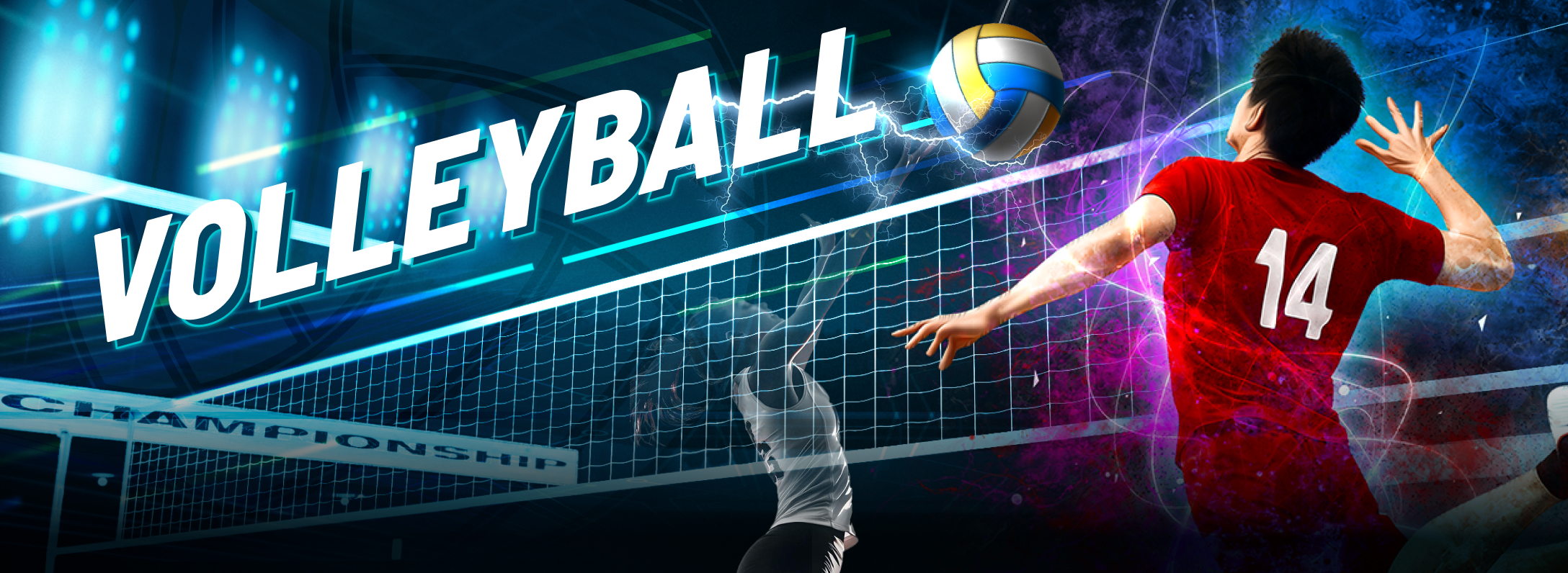 Volleyball Game